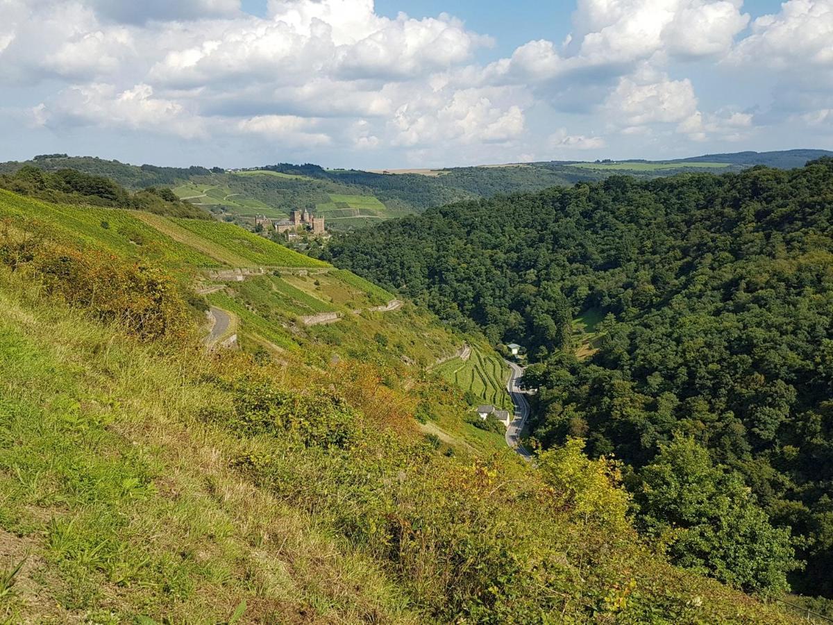 Rhine Pearl Hideaways Apartment Oberwesel Luaran gambar