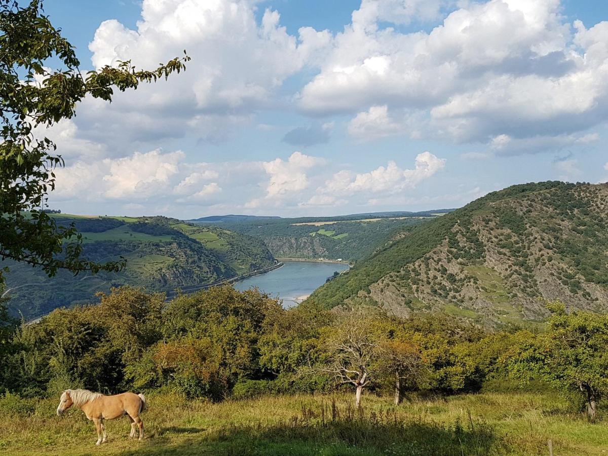 Rhine Pearl Hideaways Apartment Oberwesel Luaran gambar