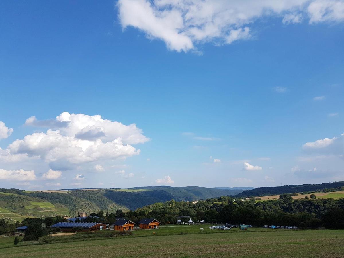 Rhine Pearl Hideaways Apartment Oberwesel Luaran gambar
